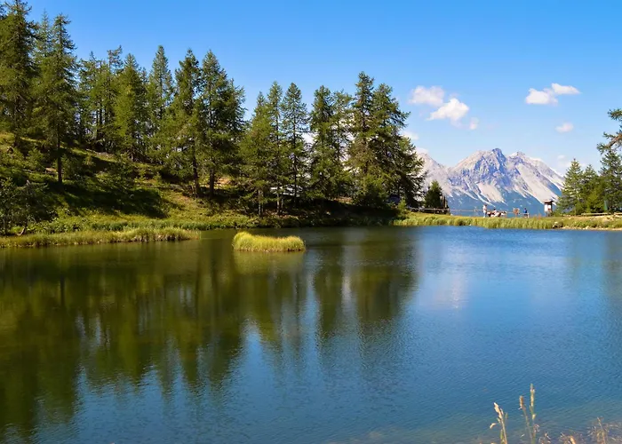 Relax In Pineta - Happy Oulx